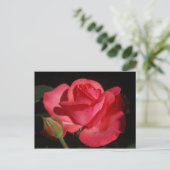 ROSE 5 POSTKARTE (Stehend Vorderseite)