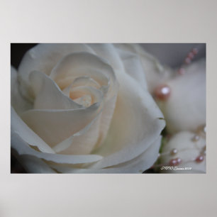 Rose 6 poster