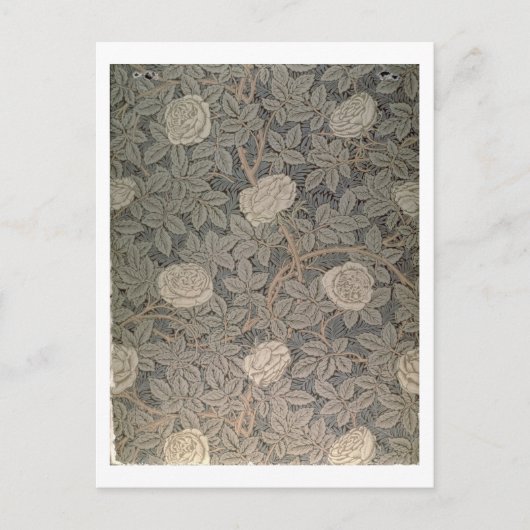 "Rose-90"-Tapete Postkarte (Vorderseite)