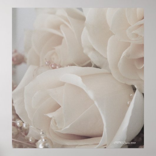 ROSE 9 POSTER (Vorne)