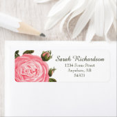 Rose Albergo Colmanicchio (Insitu)