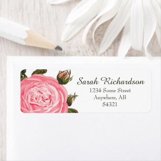 Rose Albergo Colmanicchio (Insitu)