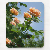 Rose "Alchemist" Mousepad (Vorne)