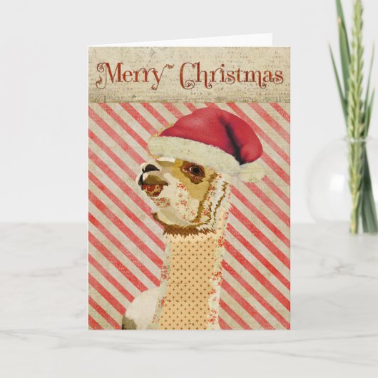 Rose Alpaca Weihnachtskarte Feiertagskarte (Vorderseite)