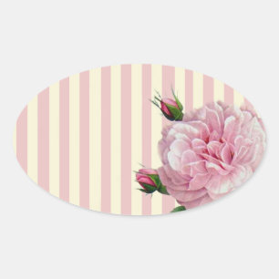 Rose an den rosa und weißen Streifen Ovaler Aufkleber