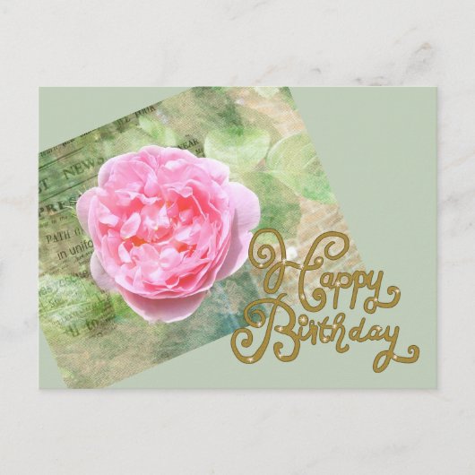 Rose an Wand Postkarte (Vorderseite)