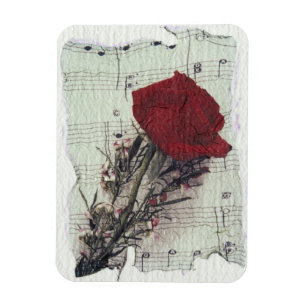 <Rose and Music> durch Kim Koza 2 Magnet