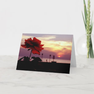 Rose and Sunset Blank Greeting Card Karte