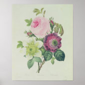 Rose, Anemon und Clematid Poster (Vorne)
