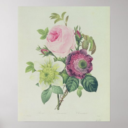 Rose, Anemon und Clematid Poster (Vorne)