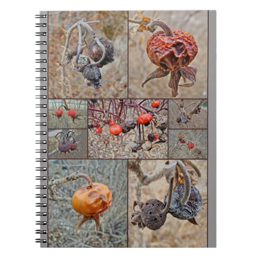 Rose Angesagt Collage Notizblock (Vorderseite)