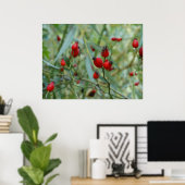 Rose angesagt Herbst Phto Poster (Heimbüro)