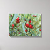 Rose angesagt Herbst Phto Stretched Canvas Print Leinwanddruck (Vorderseite)