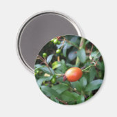Rose angesagt reifen magnet (Vorderseite/Rückseite)