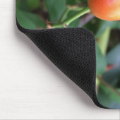 Rose angesagt reifen mousepad (Ecke)