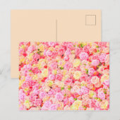 Rose Ankündigungspostkarte (Vorne/Hinten)