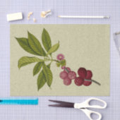 Rose Apple botanischer Ausdruck Seidenpapier (Handwerk)