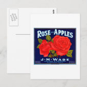 Rose Apples Wenatchee Washington Postkarte (Vorne/Hinten)