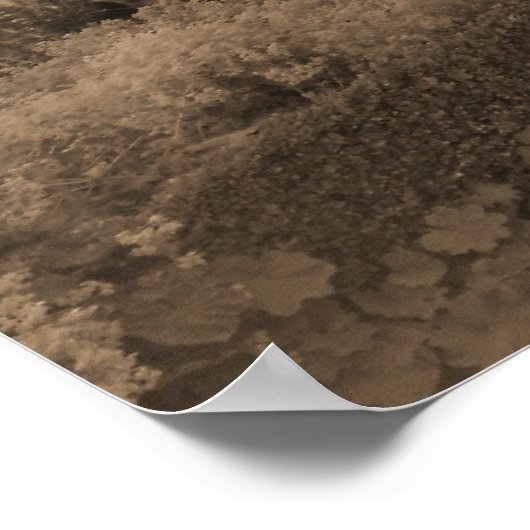 Rose Arch Eingang Poster (Ecke)