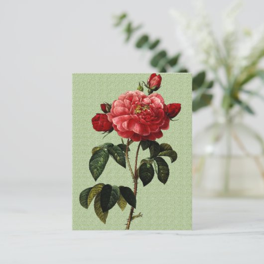 Rose Art Postkarte (Stehend Vorderseite)