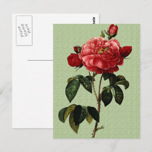 Rose Art Postkarte (Vorne/Hinten)