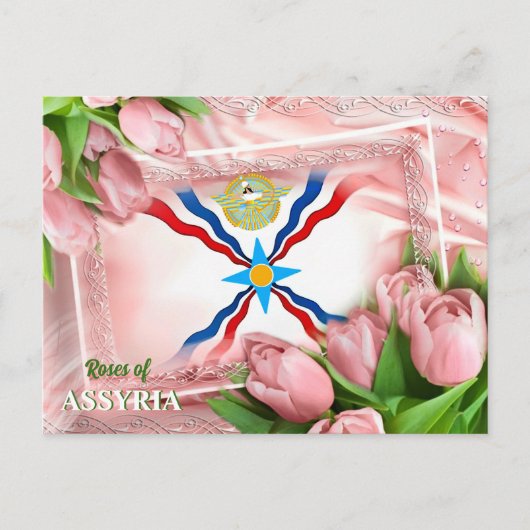 Rose ASSYRIA Postkarte (Vorderseite)