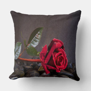 Rose auf den Felsen Kissen