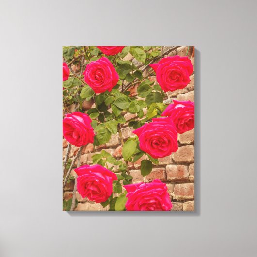Rose auf gesteppten Canvas Leinwanddruck (Vorderseite)