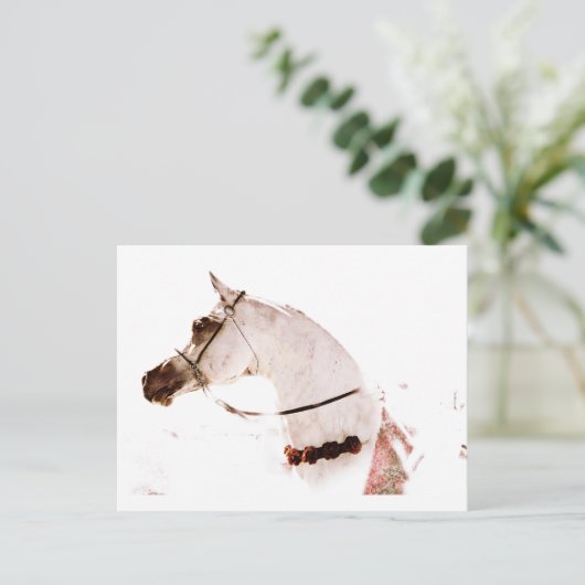 Rose auf Grau Postkarte (Stehend Vorderseite)