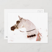 Rose auf Grau Postkarte (Vorne/Hinten)