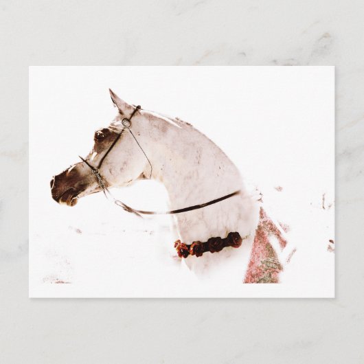 Rose auf Grau Postkarte (Vorderseite)