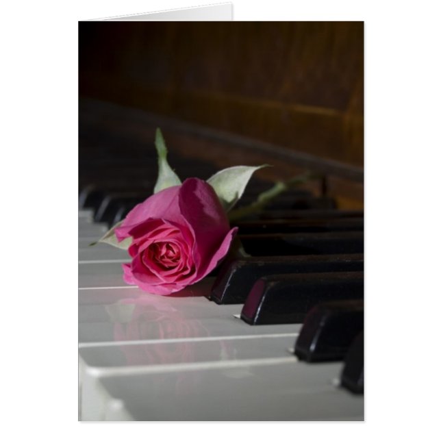 Rose auf Klavier (Vorne)