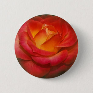 Rose auf Pergament Button