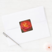 Rose auf Pergament Quadratischer Aufkleber (Umschlag)