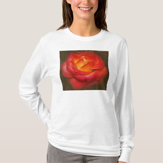 Rose auf Pergament T-Shirt (Vorderseite)