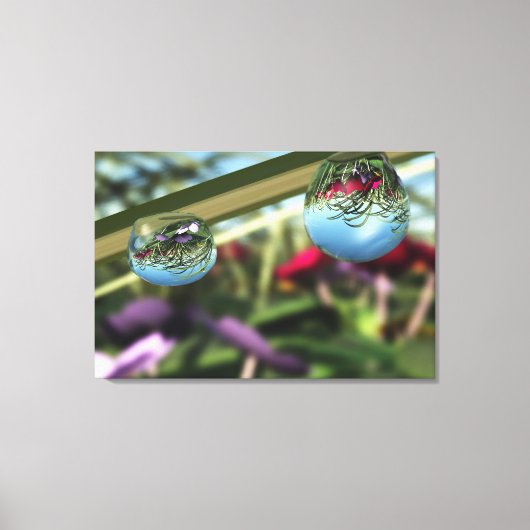Rose auf Raindrops Canvas Print Leinwanddruck (Vorderseite)