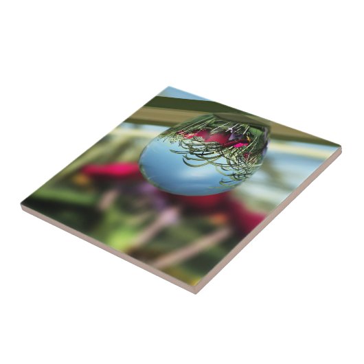 Rose auf Raindrops Dekorative Tile Fliese (Seite)