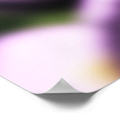 Rose auf Raindrops drucken Poster (Ecke)