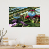 Rose auf Raindrops drucken Poster (Küche)