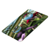 Rose auf Raindrops Flexible Magnet (Linke Seite)