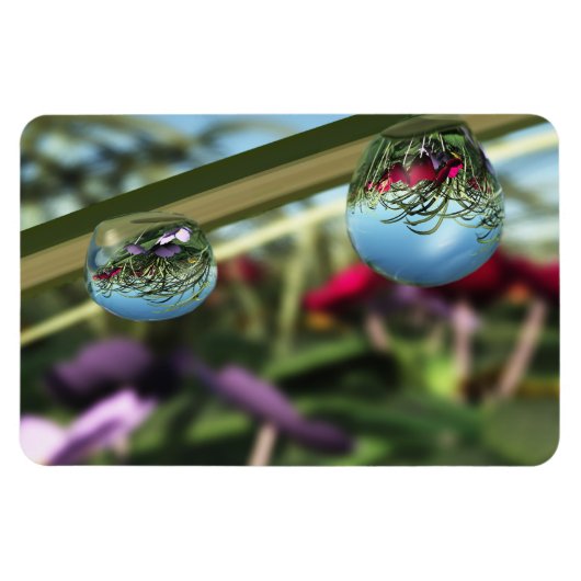 Rose auf Raindrops Flexible Magnet (Horizontal)