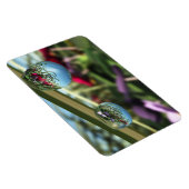 Rose auf Raindrops Flexible Magnet (Rechte Seite)
