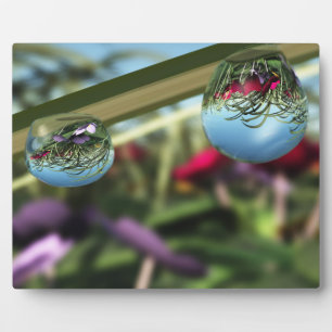 Rose auf Raindrops Foto Plaque Fotoplatte