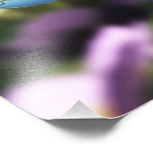 Rose auf Raindrops Foto Print (Ecke)