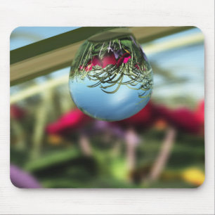 Rose auf Raindrops Mousepad