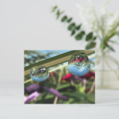 Rose auf Raindrops Postkarte (Stehend Vorderseite)