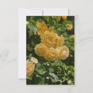 Rose aus dem Gelben Garten Mitteilungskarte