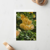 Rose aus dem Gelben Garten Mitteilungskarte (Vorderseite/Rückseite Beispiel)