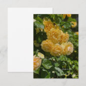 Rose aus dem Gelben Garten Mitteilungskarte (Vorne/Hinten)
