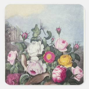 Rose aus dem "Tempel der Flora" Quadratischer Aufkleber